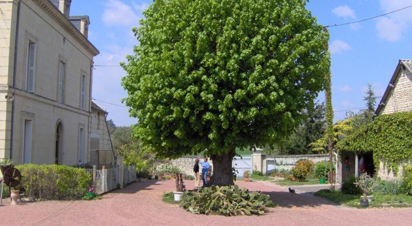 Villa Les Attelages et les Logis de Cuzay à Roiffé Chambre photo